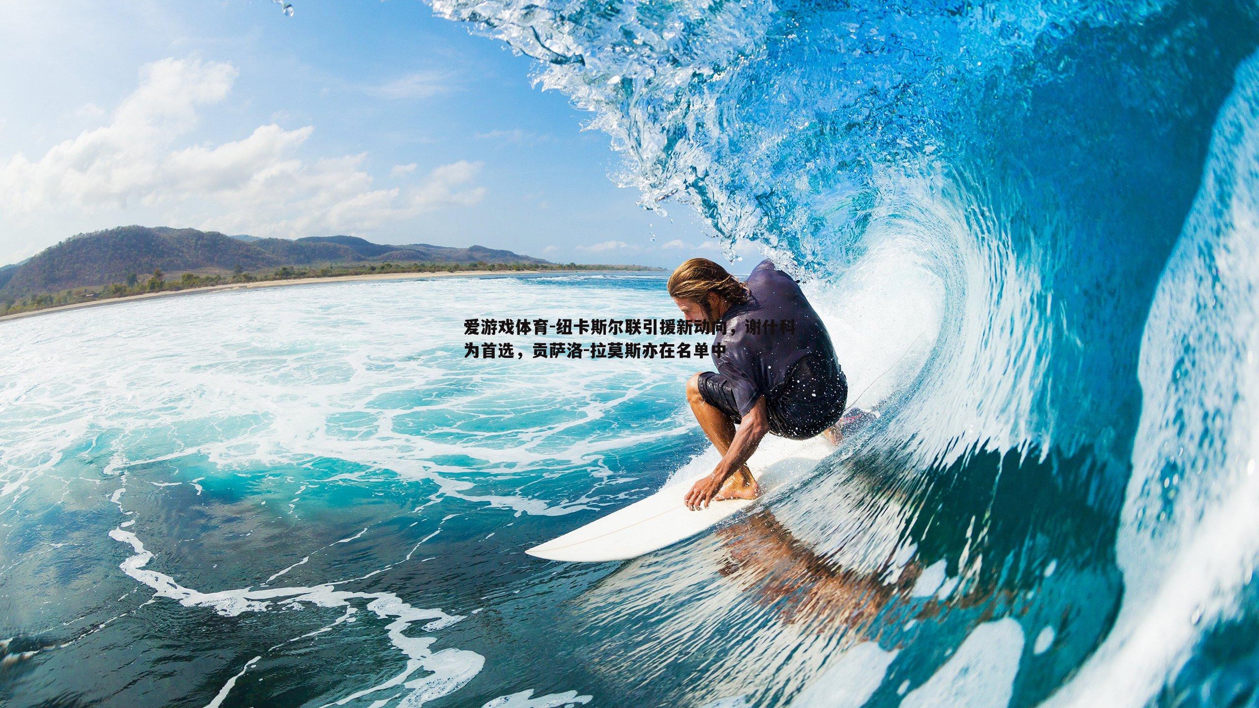 纽卡斯尔联引援新动向,谢什科为首选,贡萨洛-拉莫斯亦在名单中