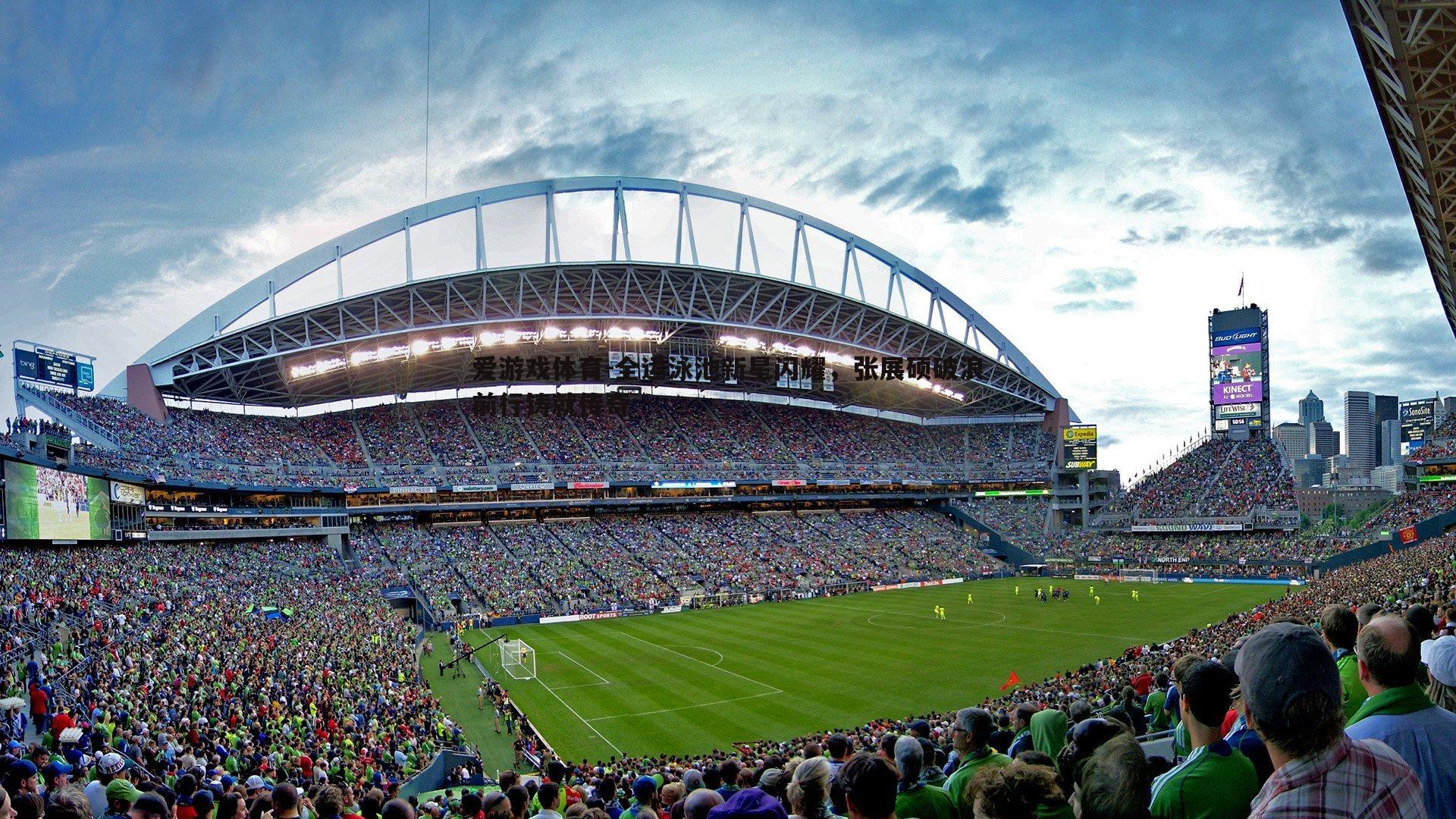 全运泳池新星闪耀,张展硕破浪前行铸就传奇